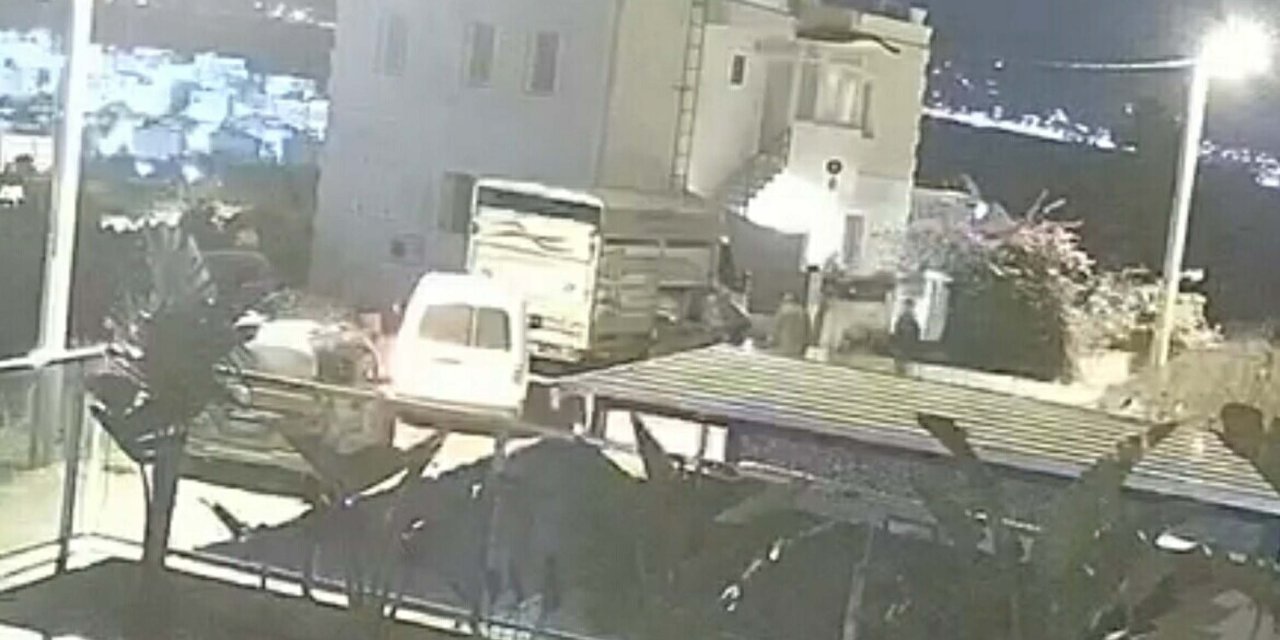 Bodrum'da 3 Sokak Köpeği Kamyonetle Götürüldü; O Anlar Kamerada