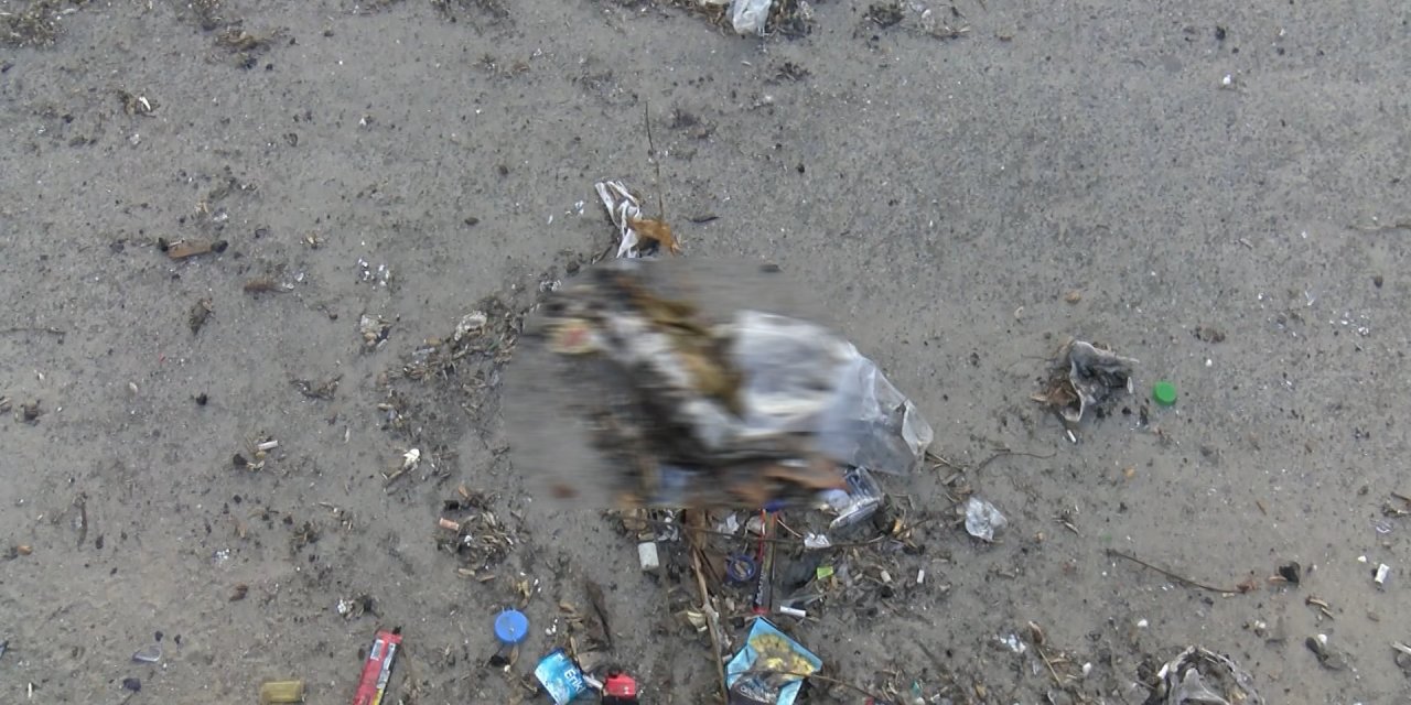 Bakırköy'de Dalgalara Kapılan Çok Sayıda Yavru Kedi Öldü