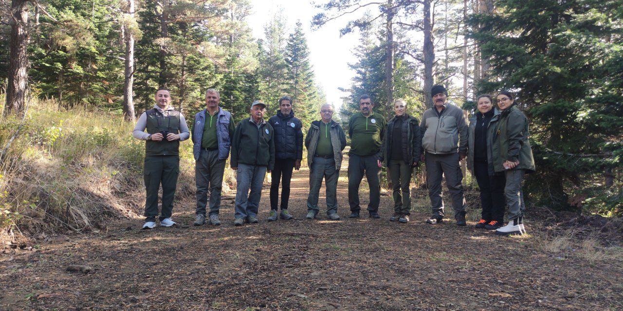 Kastamonu'da Yaban Hayvanları Sayıldı