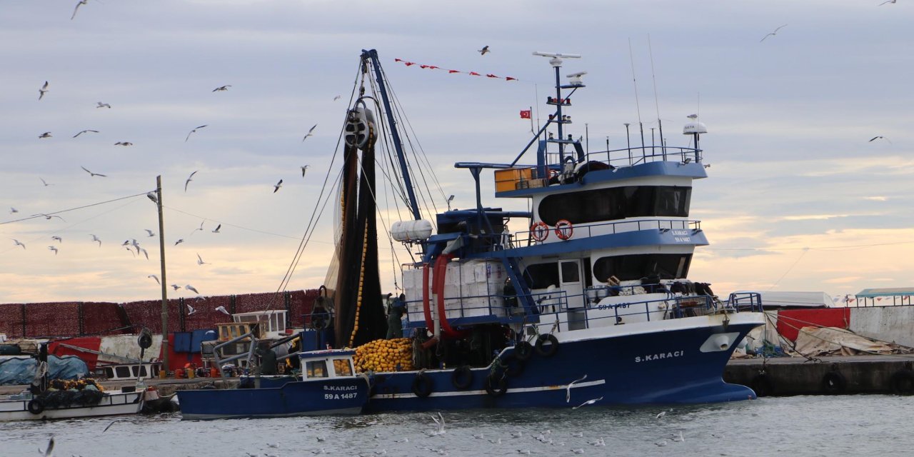 Tekirdağlı Balıkçılar, 12 Ton Kolyoz Avladı