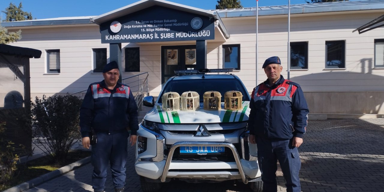 Konteyner Kentte Keklik Beslemeye 26 Bin Lira Ceza