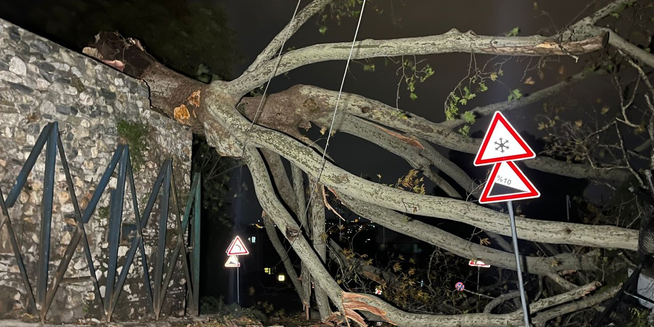 Bursa'da Lodos Etkili Oldu; Ağaçlar Devrildi, Uçan Çatı Parçası Otomobilin Üzerine Düştü (3)