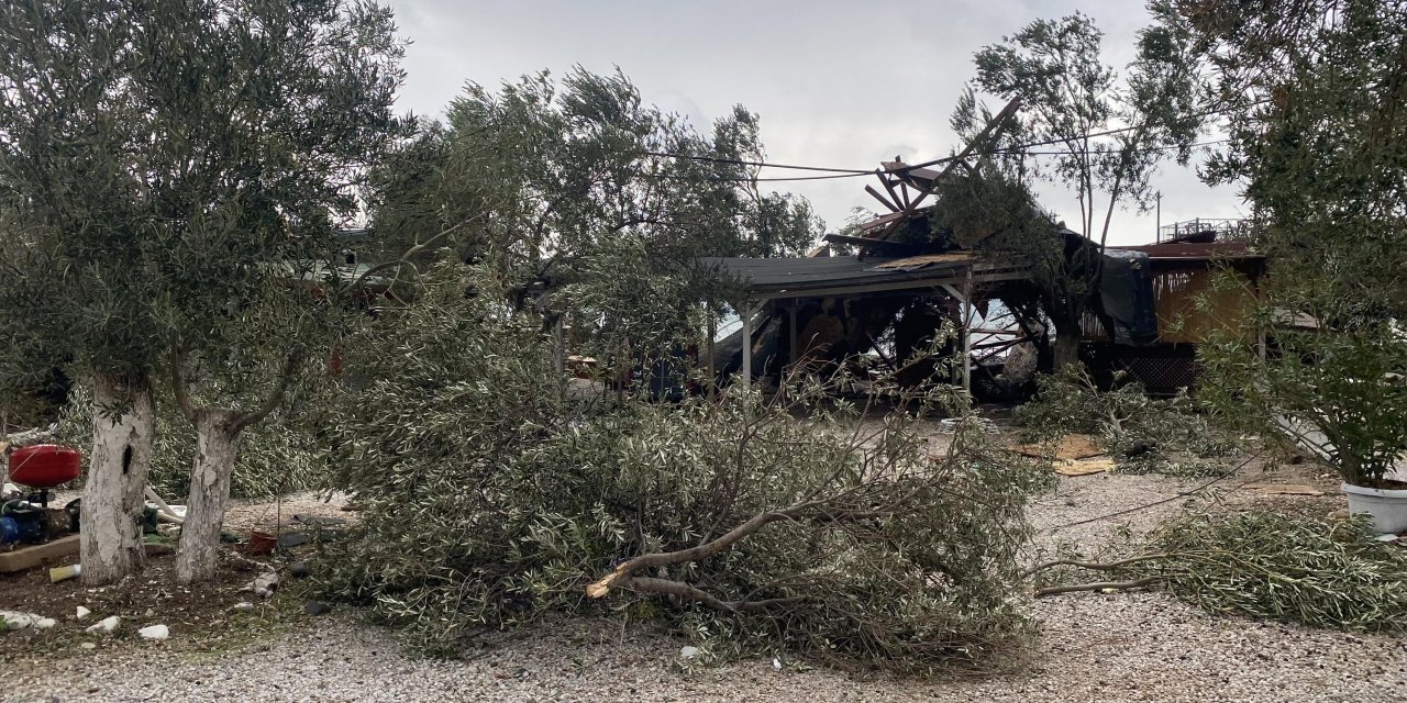 Çanakkale'de Lodos; Elektrik Direkleri Devrildi, Çatılar Uçtu (2)