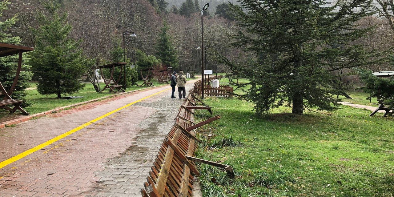 Bolu’da Kuvvetli Rüzgar; Tabiat Parkındaki Ağaçlar Devrildi(2)