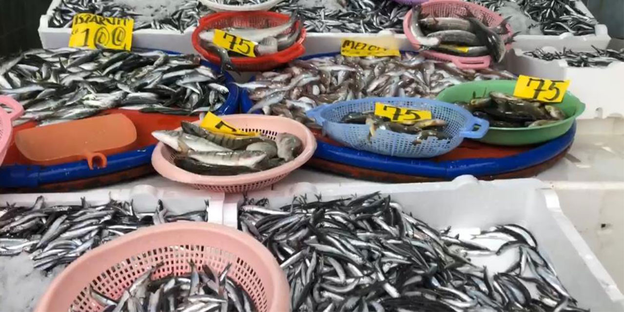 Fırtınanın ardından tezgahlar hamsiyle coştu