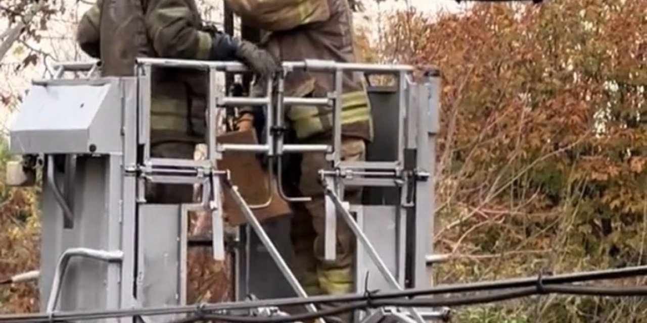 Fatih'te Martıyı Kurtaran İtfaiye Ekibine Alkış