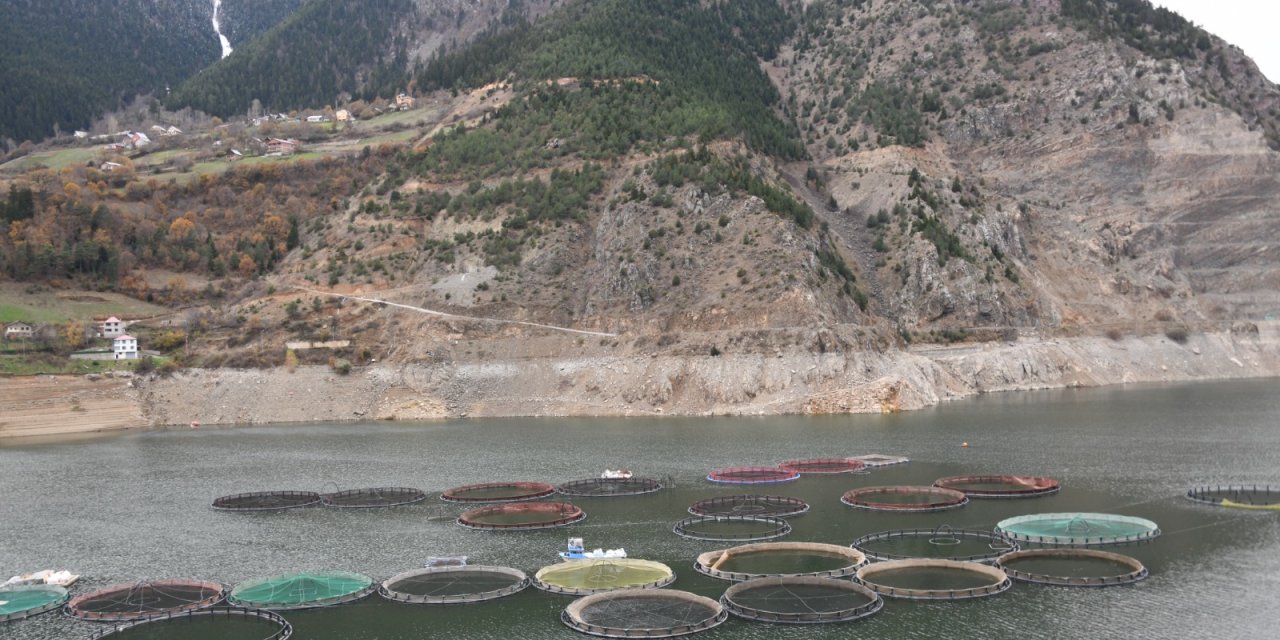 Gümüşhane’nin Karadeniz Türk Somonu İhracatı 2 Milyar Dolara Çıktı