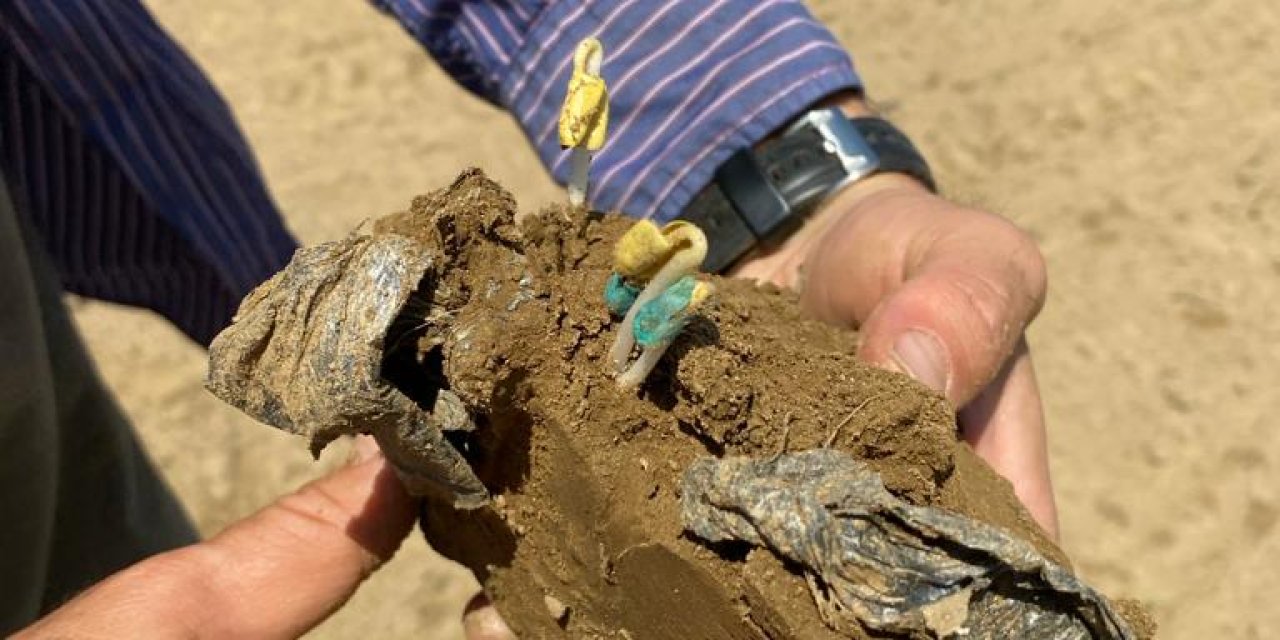 Tarım Arazilerinde 'Mikroplastik' Tehlikesi