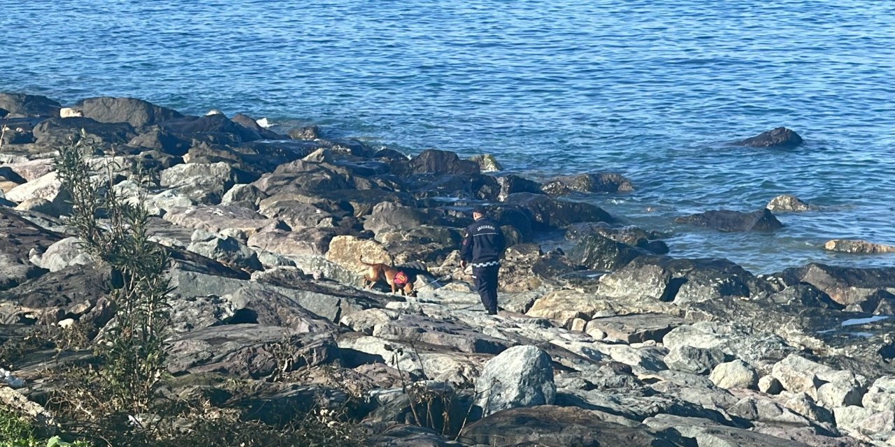Odun Toplamaya Gittiği Sahilde Kaybolan Kadını Arama Çalışmalarında 5'inci Gün