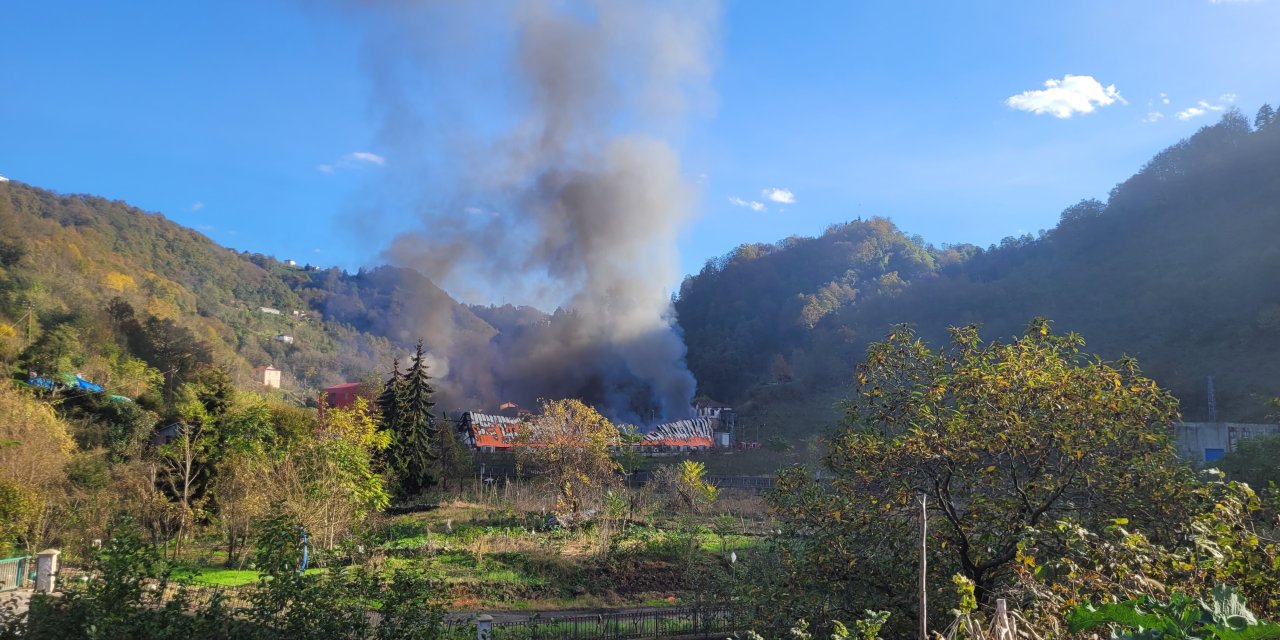 Giresun’da Fabrikada Yangın (2)