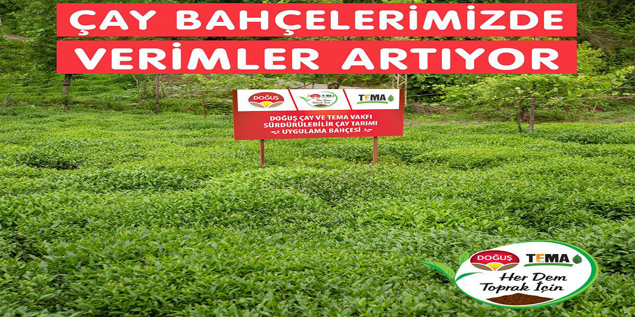 Doğuş Çay Her Dem Toprak İçin Projesinde Verimler Artıyor