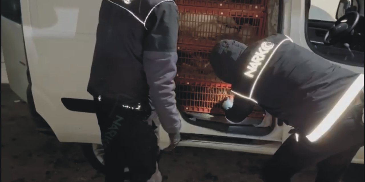 Canlı Tavuk Yüklü Araçtan Uyuşturucu Çıktı; 2 Gözaltı