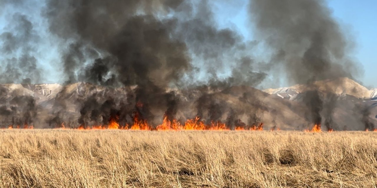 Nehil Sazlığı'nda Yangın