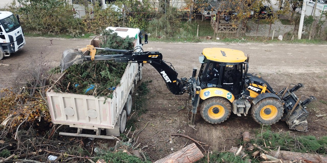Lodosta Devrilen Asırlık Çınarlar İhtiyaç Sahiplerine Yakacak Oldu