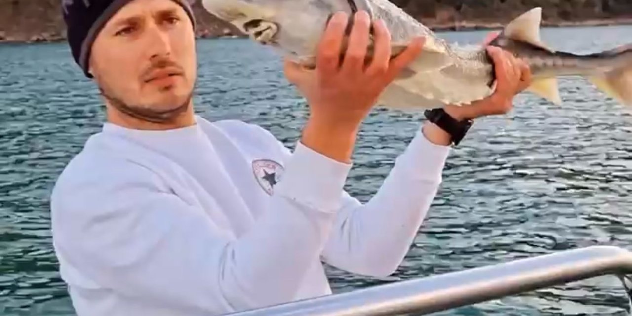 Nesli Tükenme Tehlikesi Altında Olan Mersin Balığını Yakalayıp, Denize Saldı