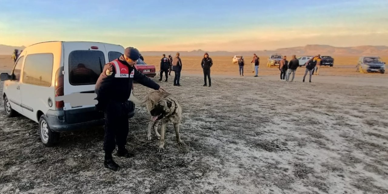 Kayseri'de Bahisle Köpek Dövüştüren 37 Kişiye 150 Bin Tl Ceza