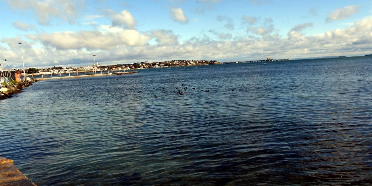 'marmara Denizi'Nde Su Sıcaklığı 50 Yılda 2,5 Derece Arttı'