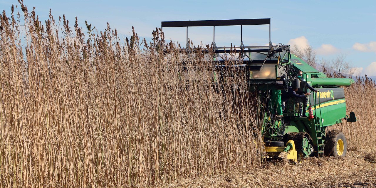 Fao Direktörü Dongyu: Gıda İçin Yatırım Yapmak, Büyük Kazançlar Sağlayacak