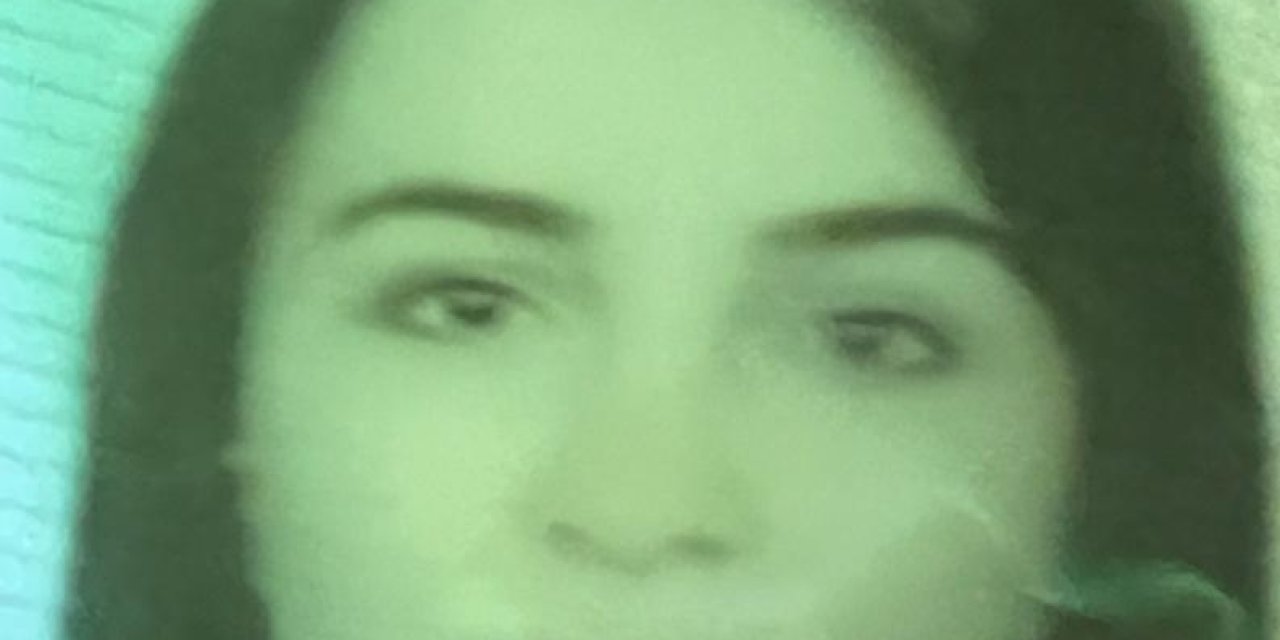 Arkadaşlarının Yanına Giderken, Yolcu Otobüsünün Çarpmasıyla Öldü