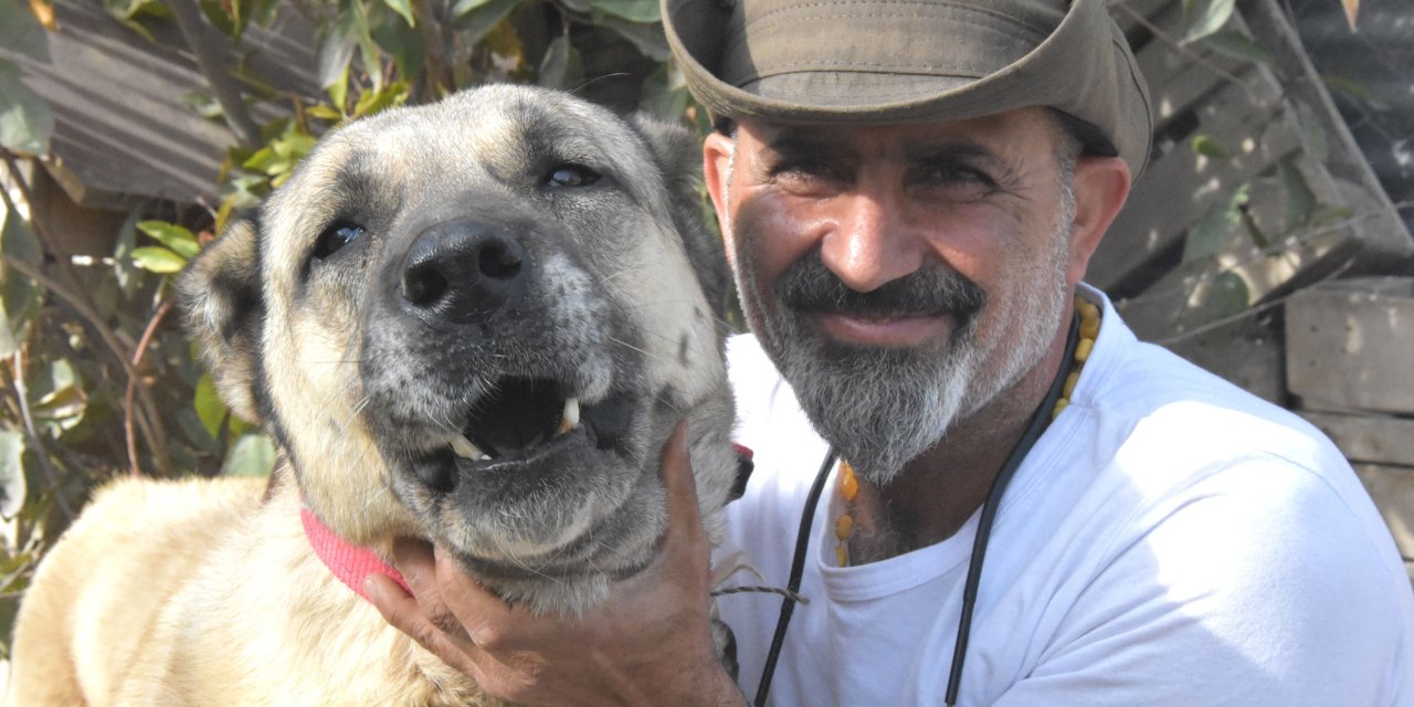 Kangal Köpekleri Dünyada Safkan Irk Olarak Kabul Görmüyor; Gen Haritasının Çıkarılması Gerek