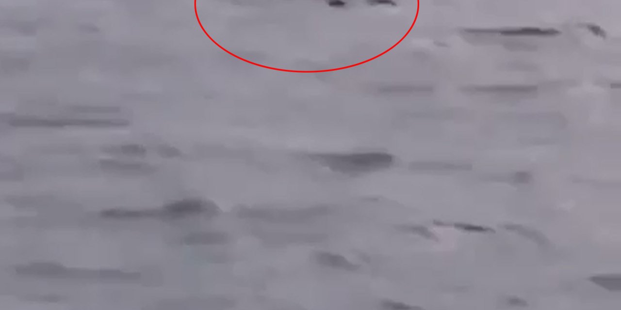 4 Gündür Kayıp Damla'nın Denizde Cansız Bedeni Bulundu (2)