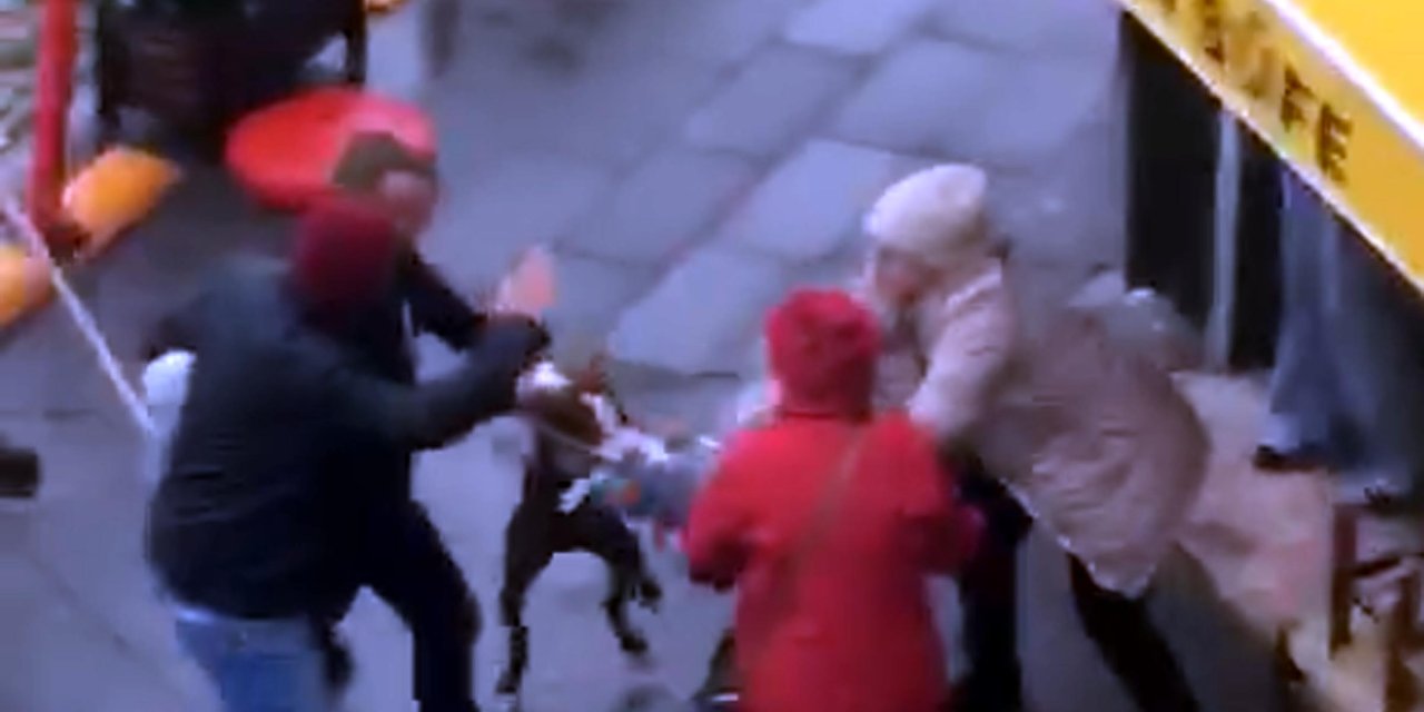 Kucağındaki Köpeğe Pitbull Saldırdı; O Anlar Kamerada