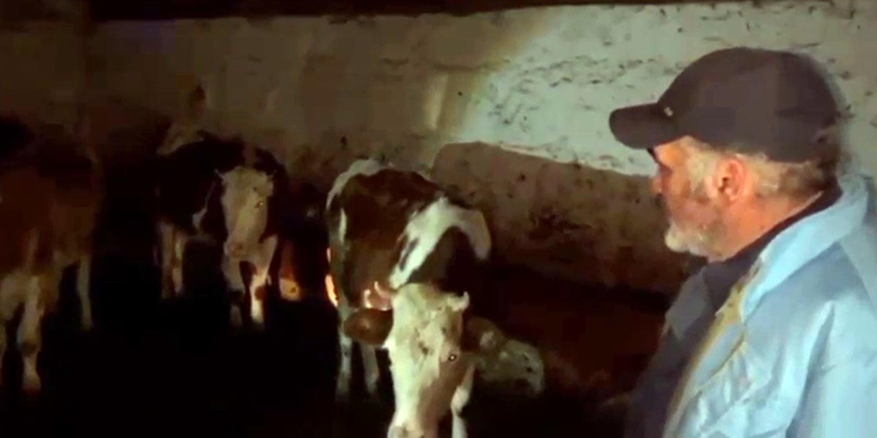 Çalınan 7 İnek Bulundu, Sahipleri Jandarmaya Teşekkür Etti