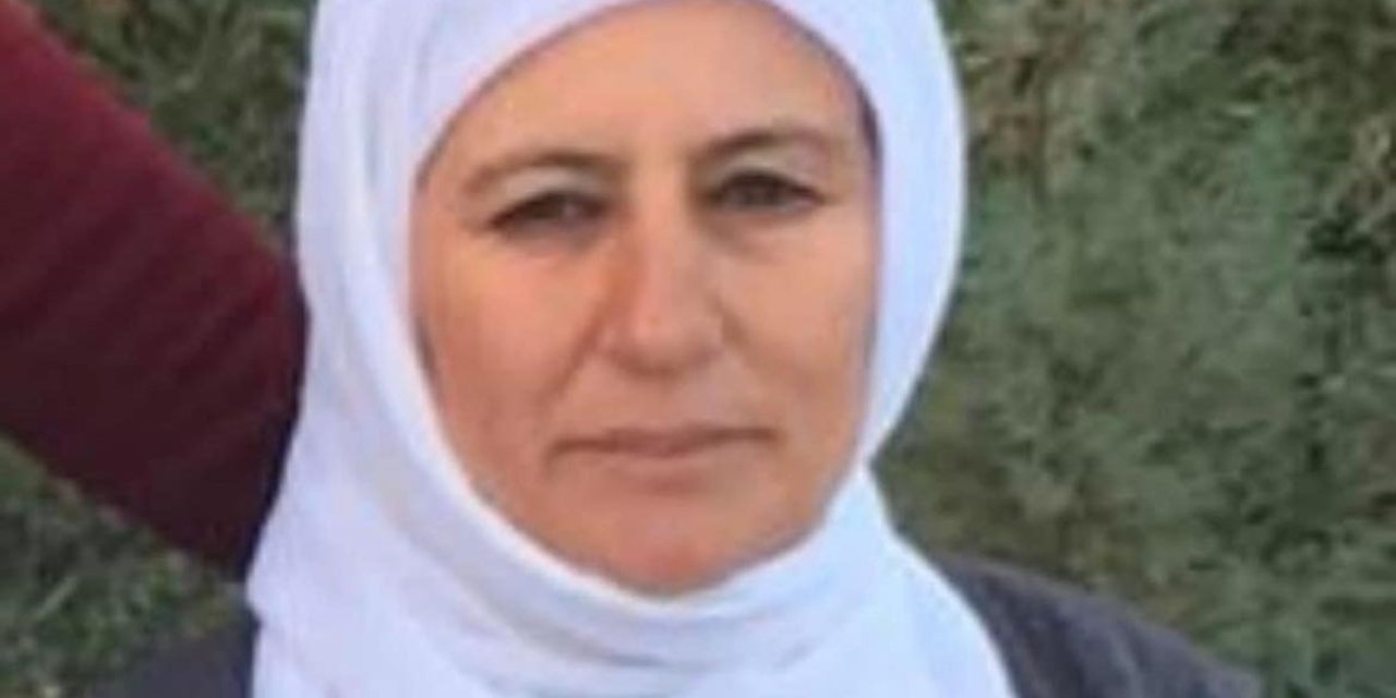 Mardin'de Otomobilin Çarptığı Kadın Öldü