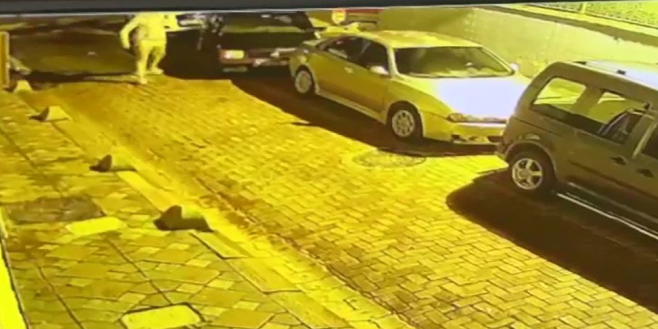 İstanbul'da Bir Günde 3 Araç Çalan Şüpheli Yakalandı