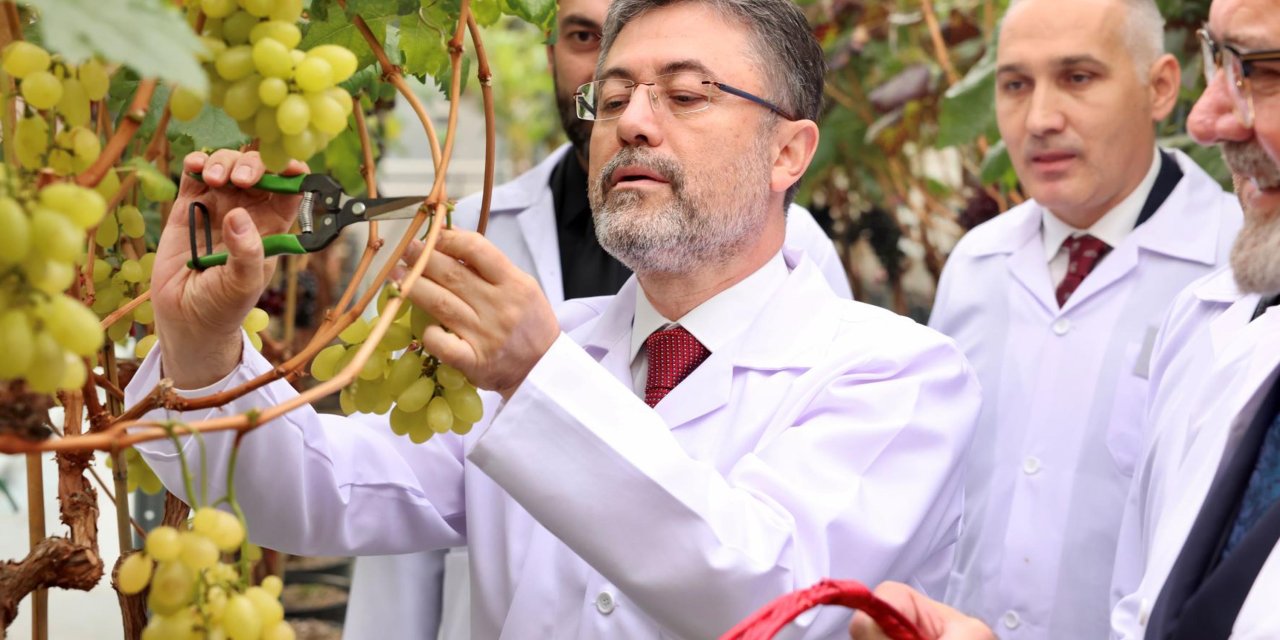Bakan Yumaklı: Zeytin Üzerinden Yapılan Spekülasyonlara İtibar Etmeyin (2)
