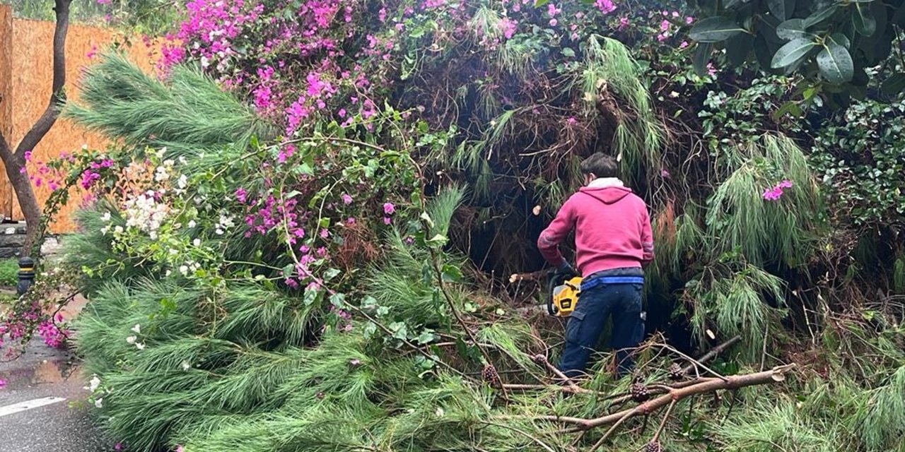 Bodrum'da Sağanak; Dere Taştı, Mahsur Kalan 4 Kişi Kurtarıldı (2)