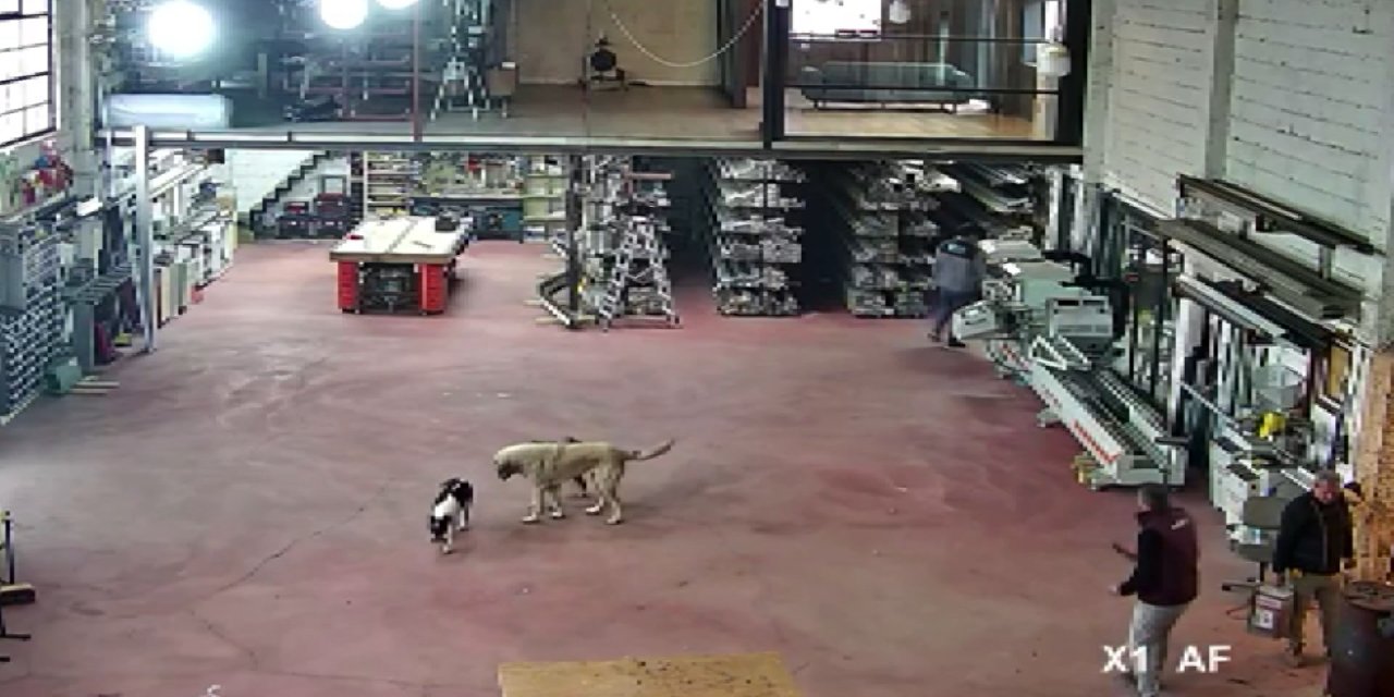 Maltepe'de Sobaya Tiner Dökünce Atölyede Dehşet Anları Yaşandı