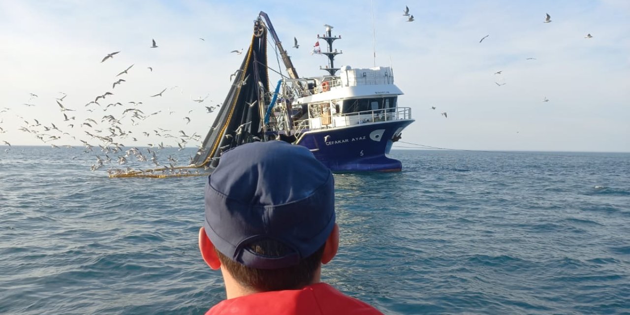 Yasal Sınırın Altındaki 6 Ton İstavrite El Konuldu