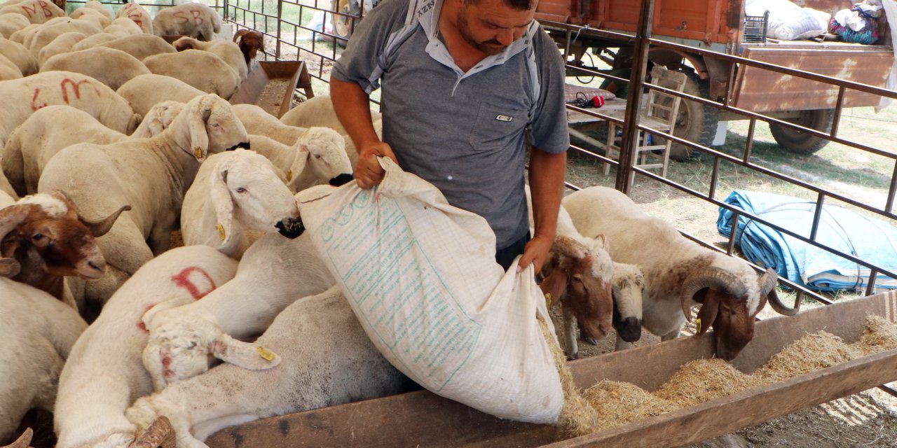 '12’nci Kalkınma Planı, Hayvancılığı Geliştirecek, Mesleği Asla Bırakmayın'