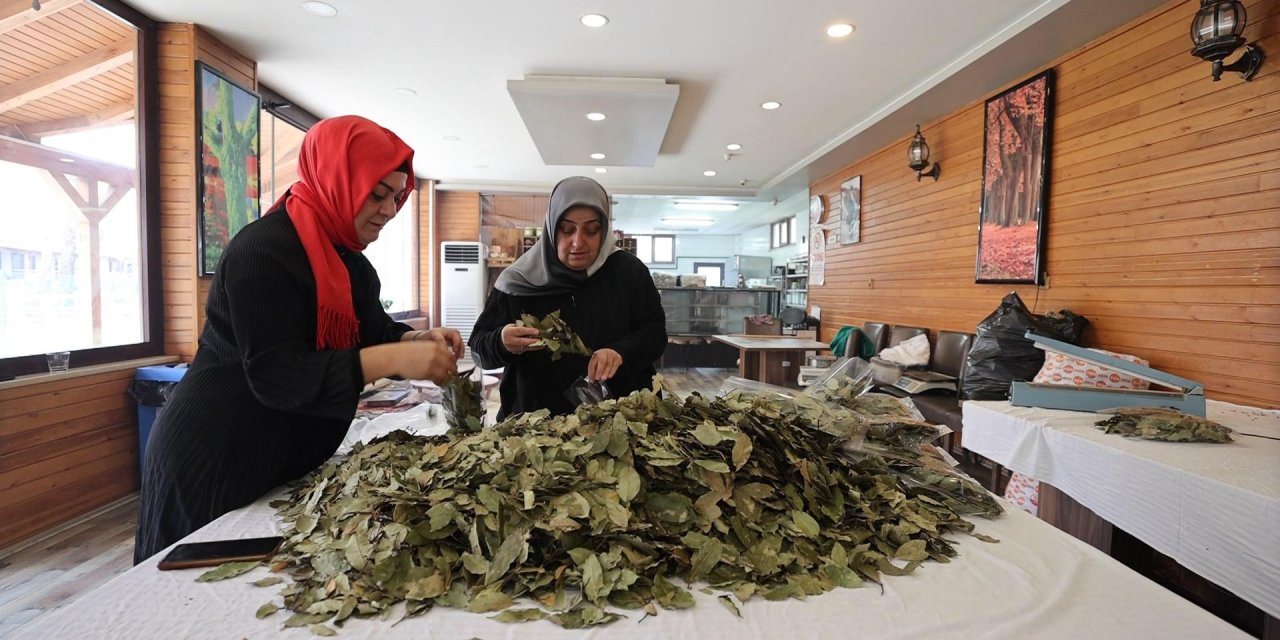 Atatürk Orman Çiftliği'nden Kadın Kooperatifleri Ve Üretici Birliklerine Destek