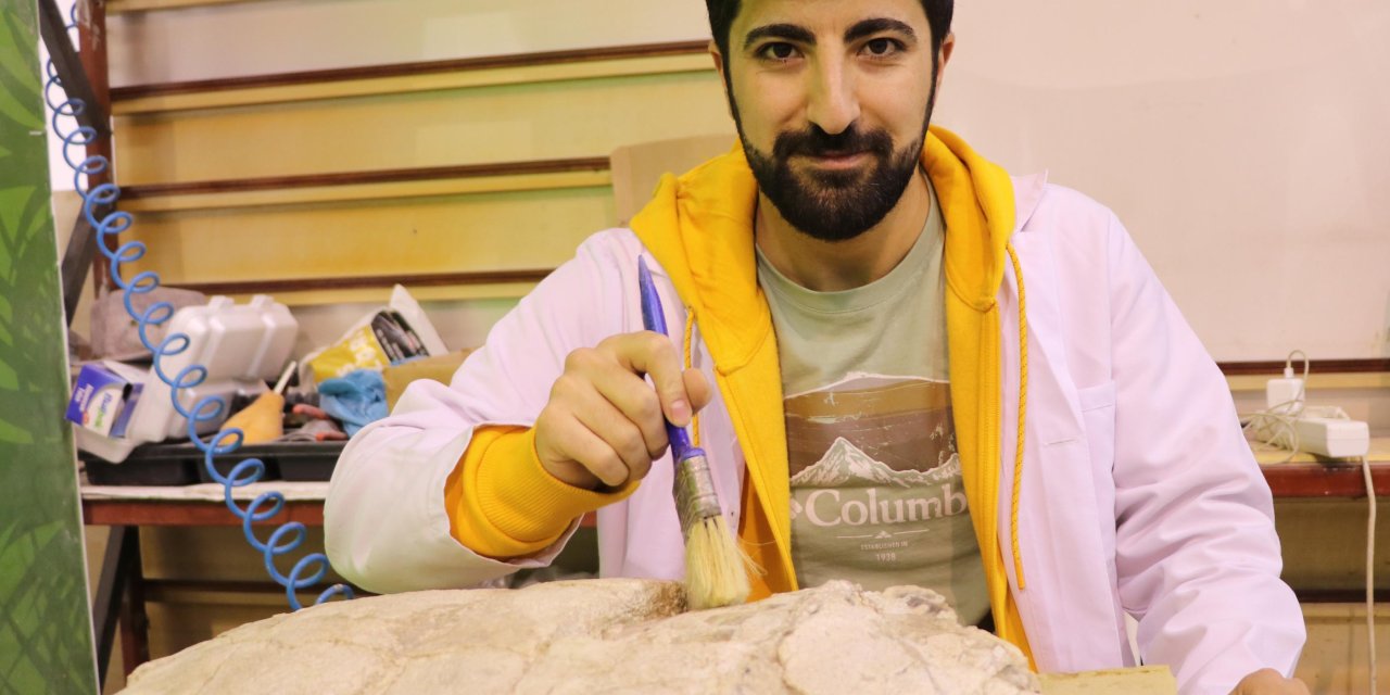 3 Yıl Önce Bulunan 7,5 Milyon Yıllık Kaplumbağa Fosili Ayaklandırılacak