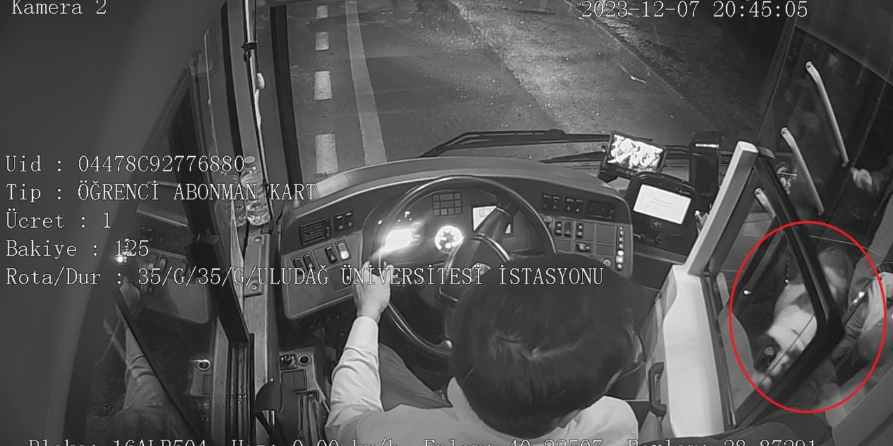 Beto'nun Otobüste 'Kaçak' Yolculuğu