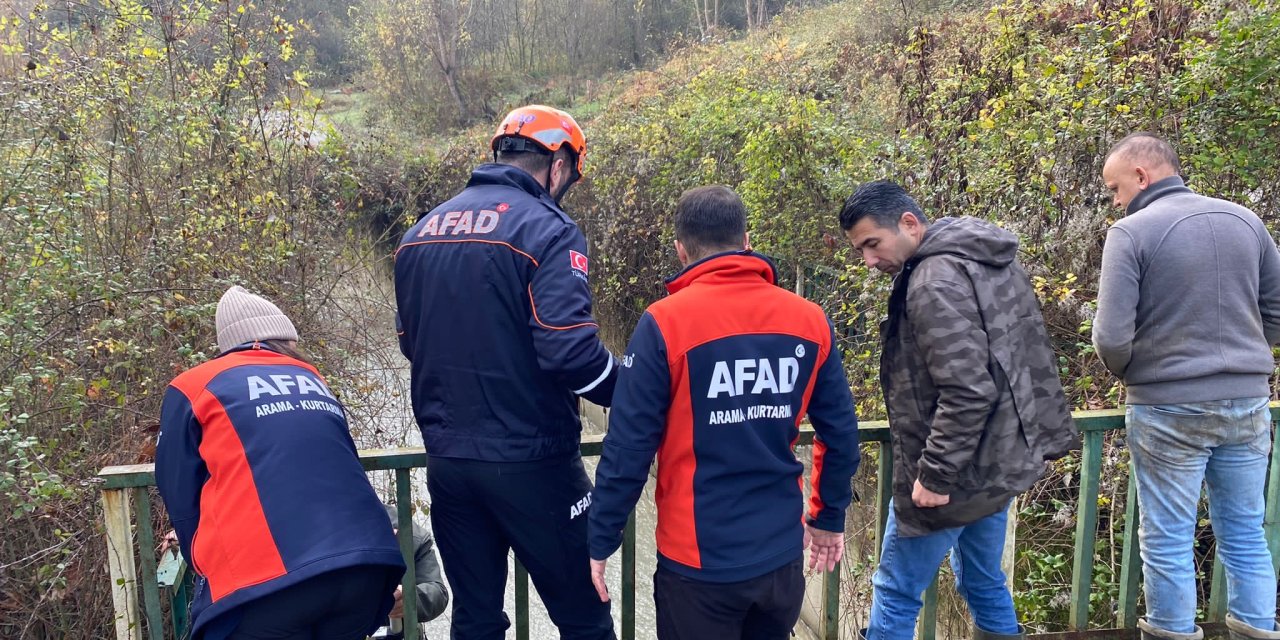 Dereye Düşen Karaca, Ağ İle Kurtarıldı