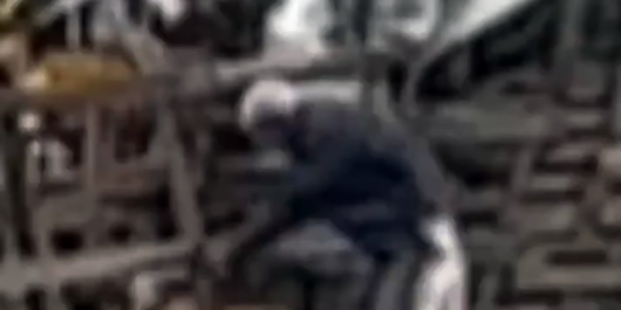 Köpeğe Şiddet Şüphelisine 4 Bin 554 Lira Ceza