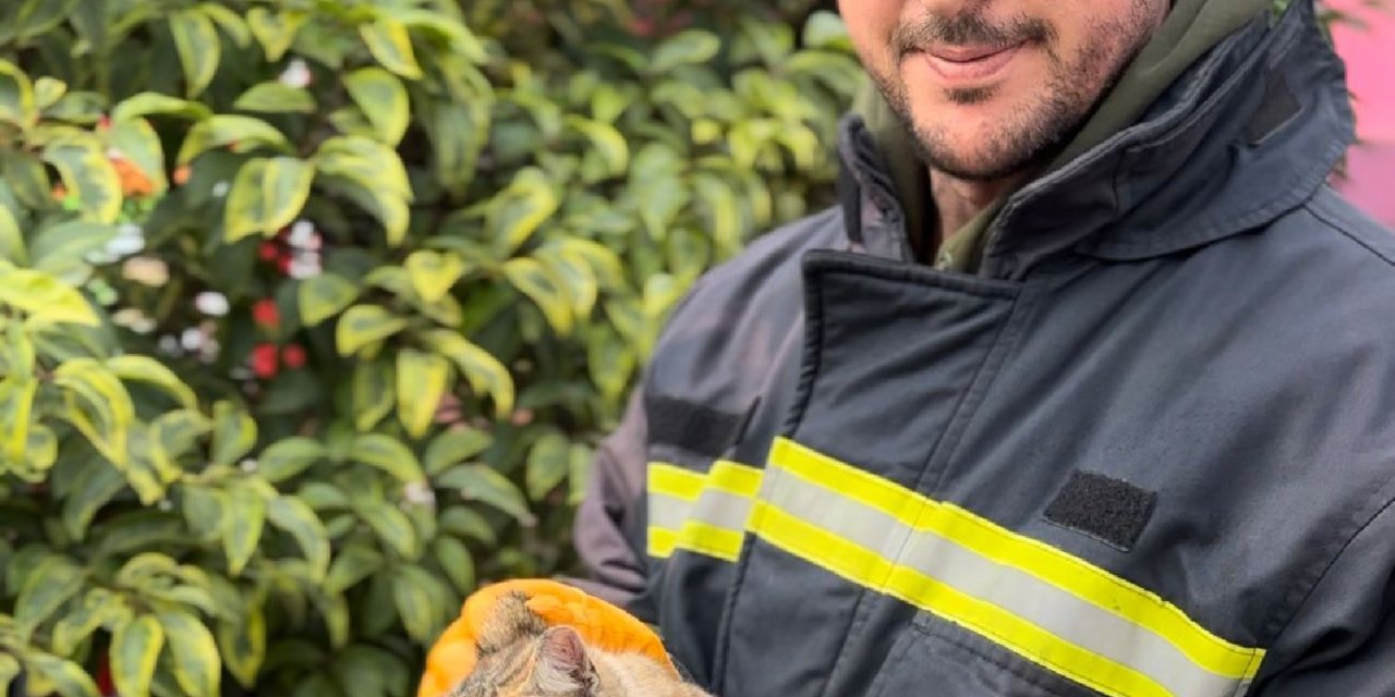 Çatıda Mahsur Kalan 3 Yavru Kediyi İtfaiye Kurtardı