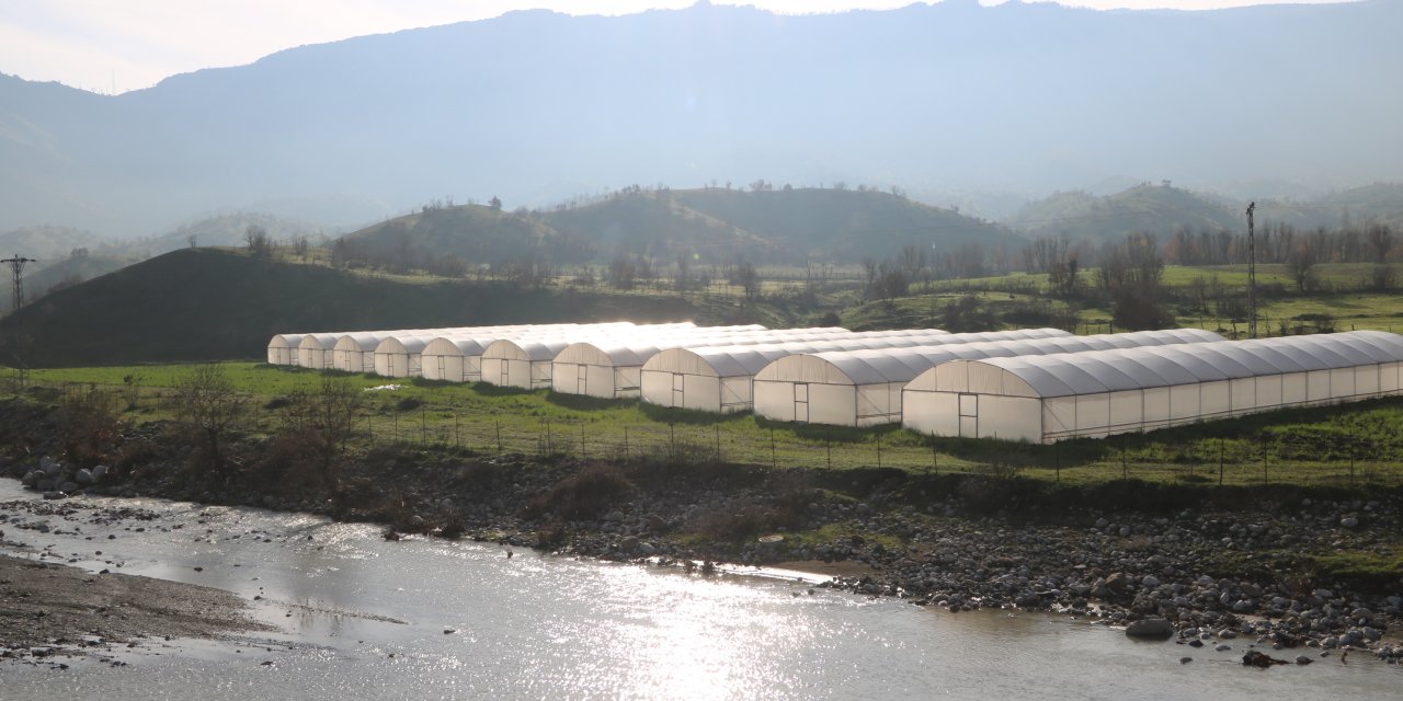 Terörden Kurtulan Derecik, Seracılığın Merkezi Oluyor