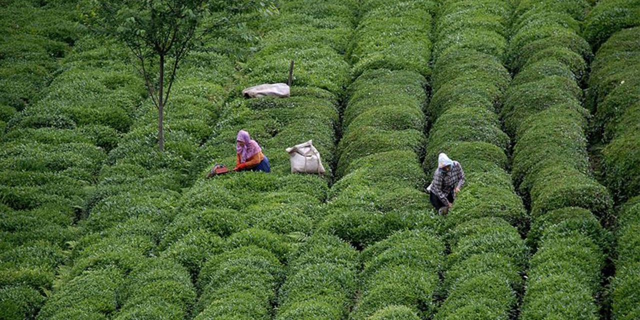 2026 ÇKS Başvuruları Başladı