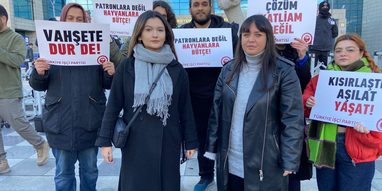 Ankara'da Sokak Köpeklerinin Toplanmasına Tepki