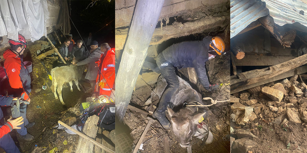 Artvin'de heyelan 2 katlı ahşap ev ve ahır yıkıldı