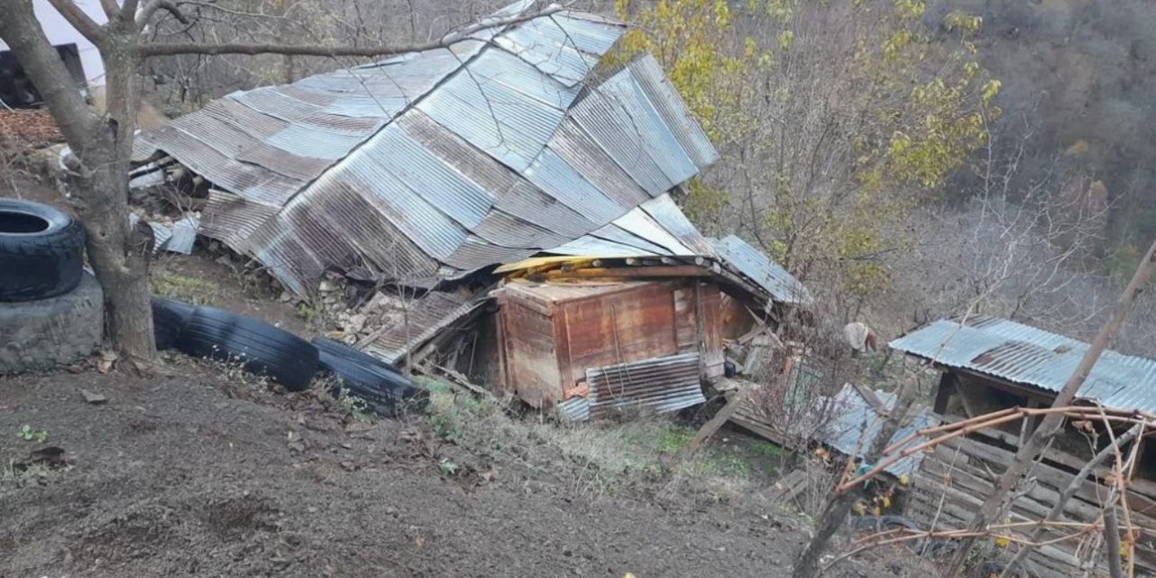 Artvin'de Heyelan; Ev, Ahır Ve Samanlık Çöktü, 1 İnek Öldü