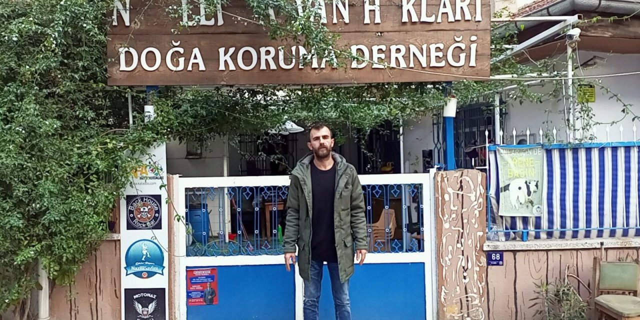 Aydın'da Zehirlenen Köpek Sayısı 9'a Çıktı