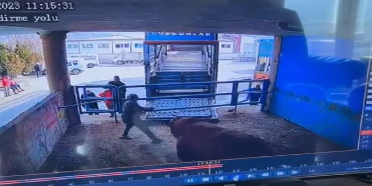 Boğanın Saldırdığı Mezbaha Çalışanı Yaşamını Yitirdi; O Anlar Kamerada