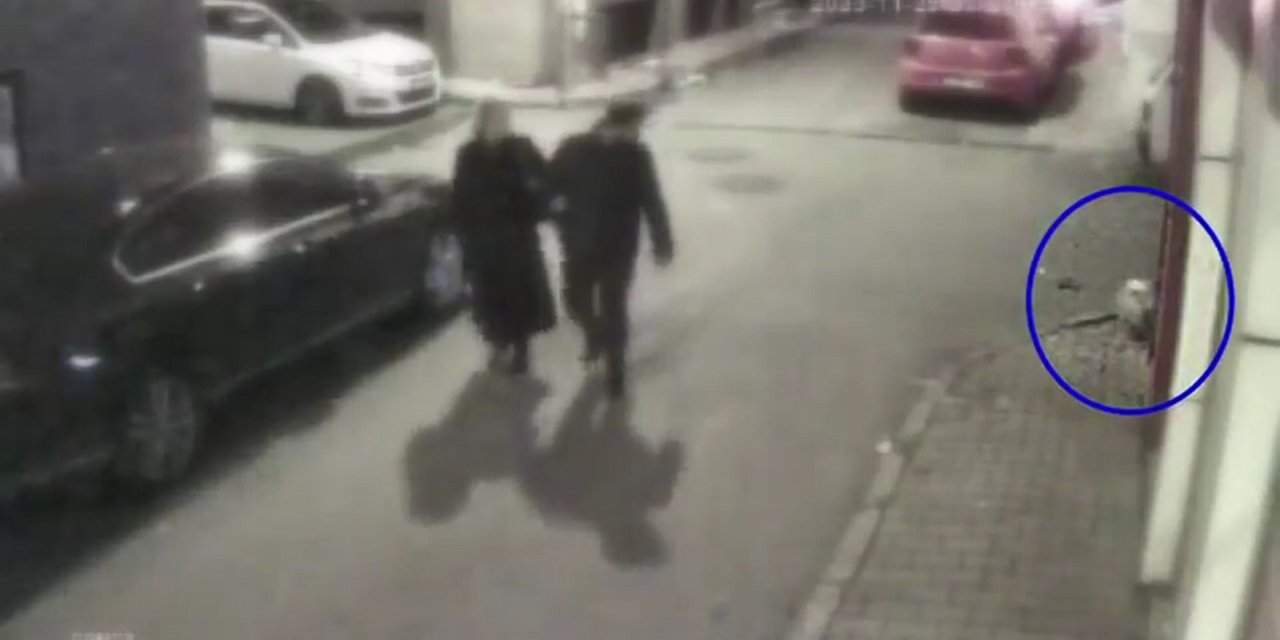 Bakırköy'de Köpek Çalan Taksi Şoförünün 8 Yıl Kesinleşmiş Hapis Cezası Olduğu Ortaya Çıktı