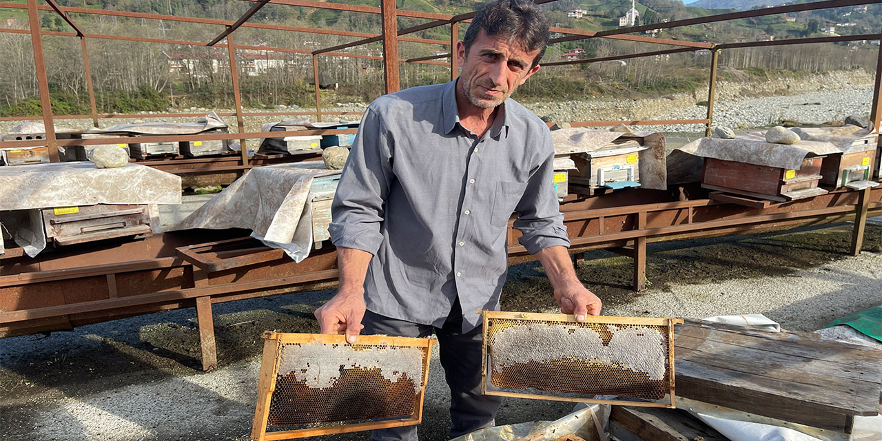 Arılarının ’Kafkas Arısı’ Olduğunu İspatladı Şimdi de Zararının Ödenmesi İçin Mücadele Ediyor