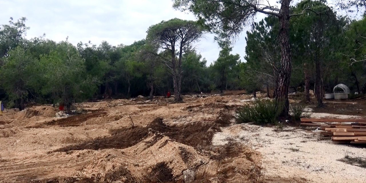 Tadilattaki Otelin Molozunun Ormana Döküldüğü Ve Ağaçların Kesildiği İddiasıyla Suç Duyurusu